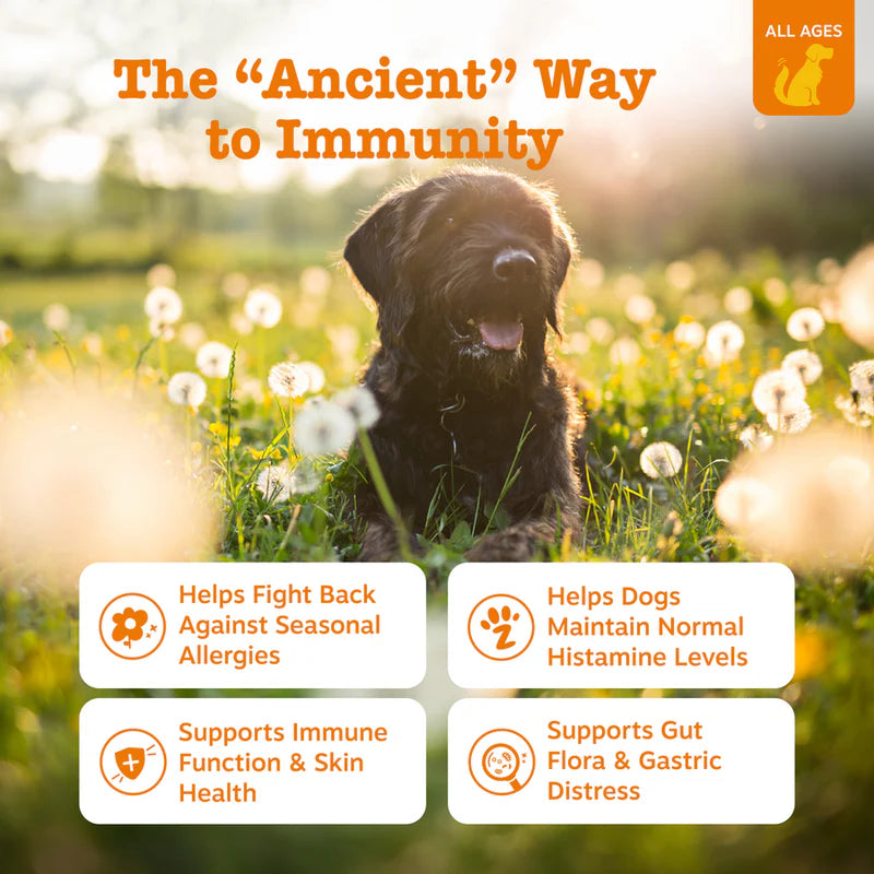 Ancient Elements™ Aller-Immune Bites™ for Dogs Sale