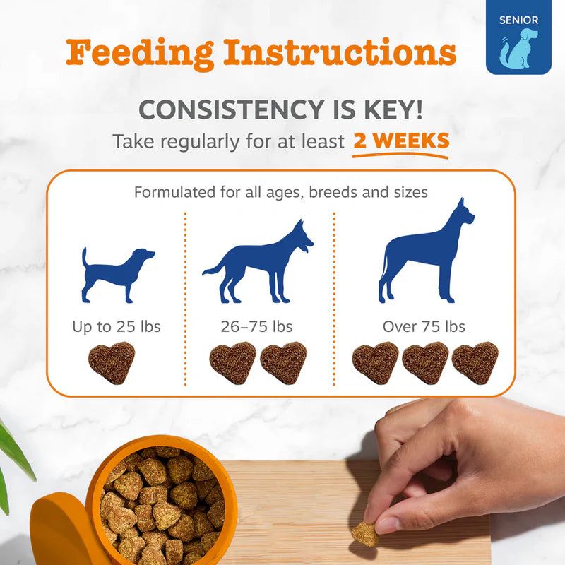 Senior Advanced 11-in-1 Multivitamin Bites for Senior Dogs