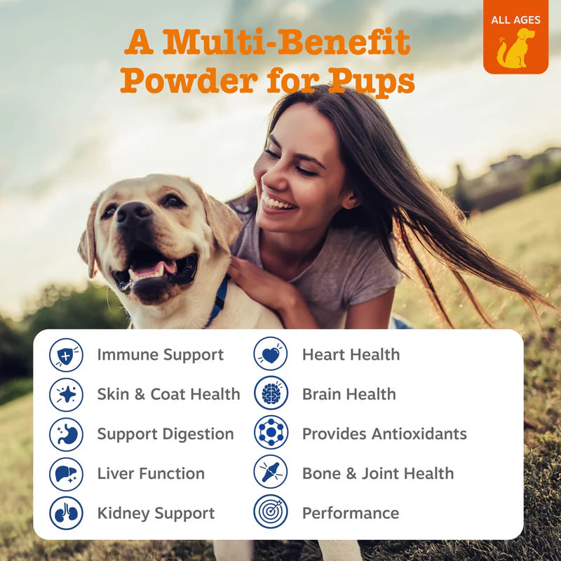 Multivitamin Powder for Dogs