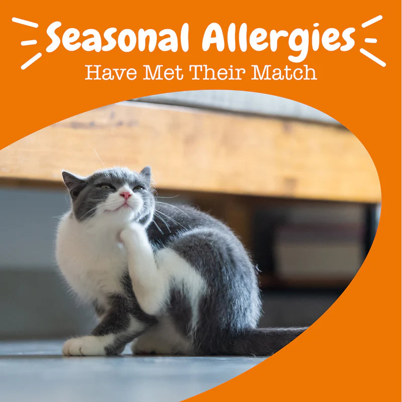 Allergy & Immune Cat Mousse