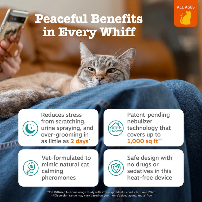 Cat Calming Diffuser Starter Kit - 30 Day Supply