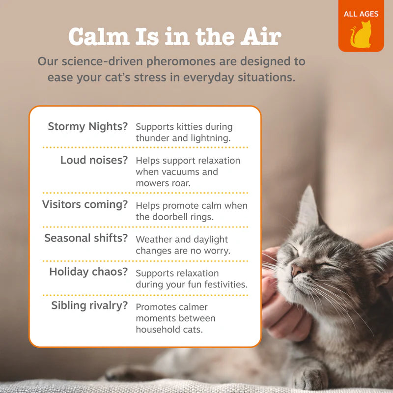 Cat Calming Diffuser Starter Kit - 30 Day Supply