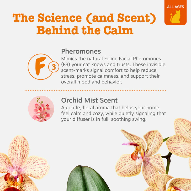 Cat Calming Diffuser Starter Kit - 30 Day Supply