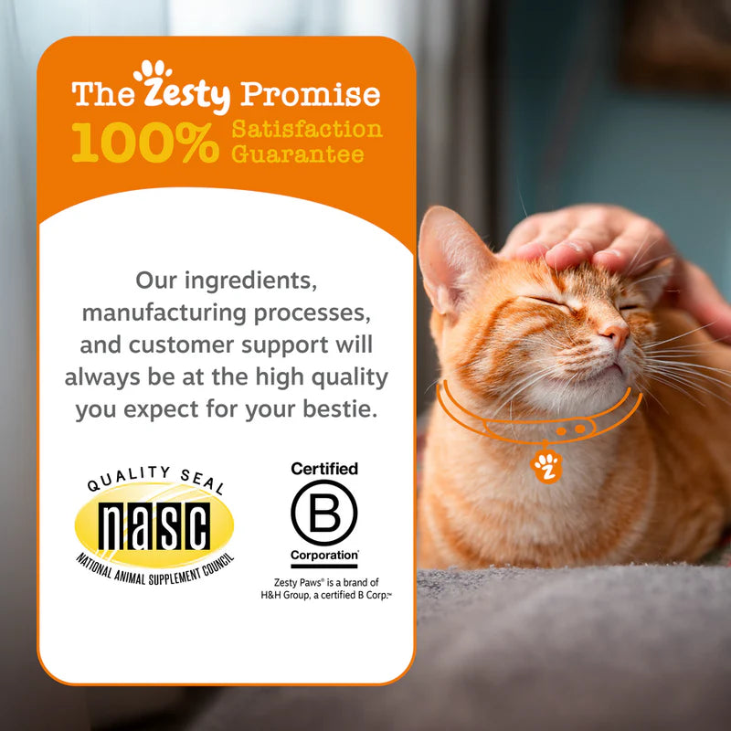 Cat Calming Diffuser Starter Kit - 30 Day Supply