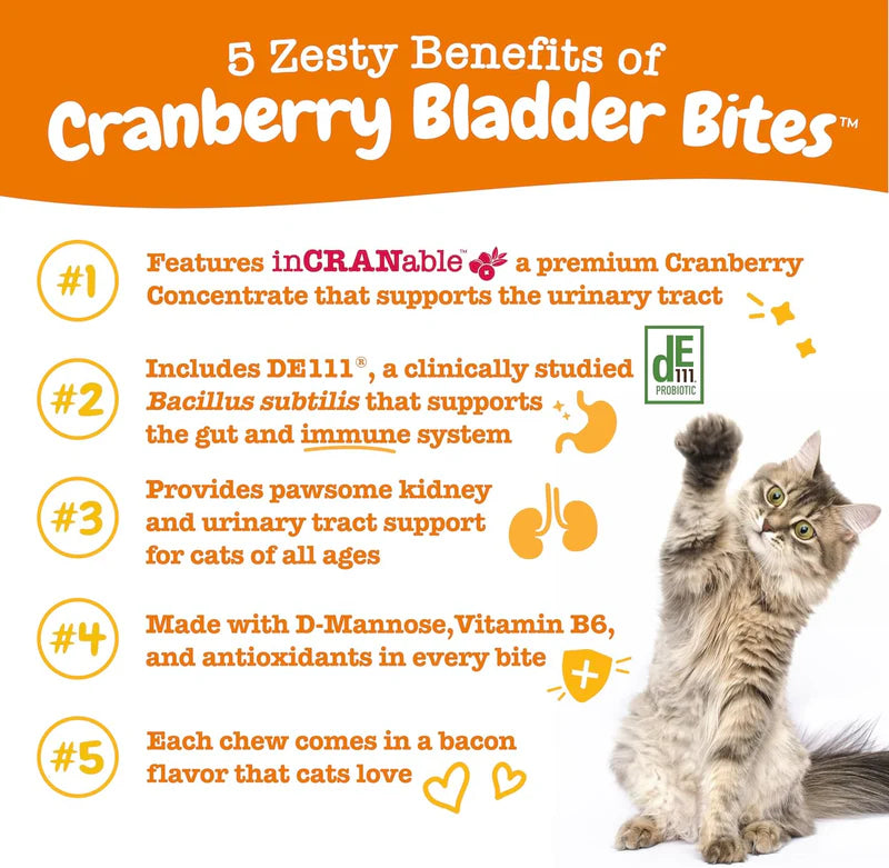 Urinary Tract Bites for Cats