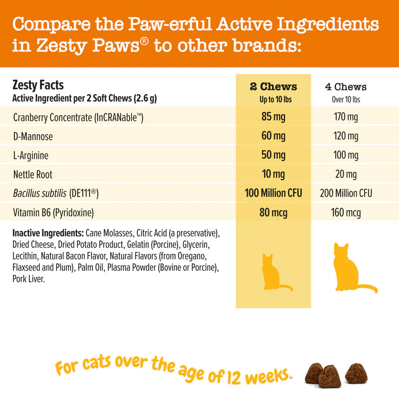 Urinary Tract Bites for Cats