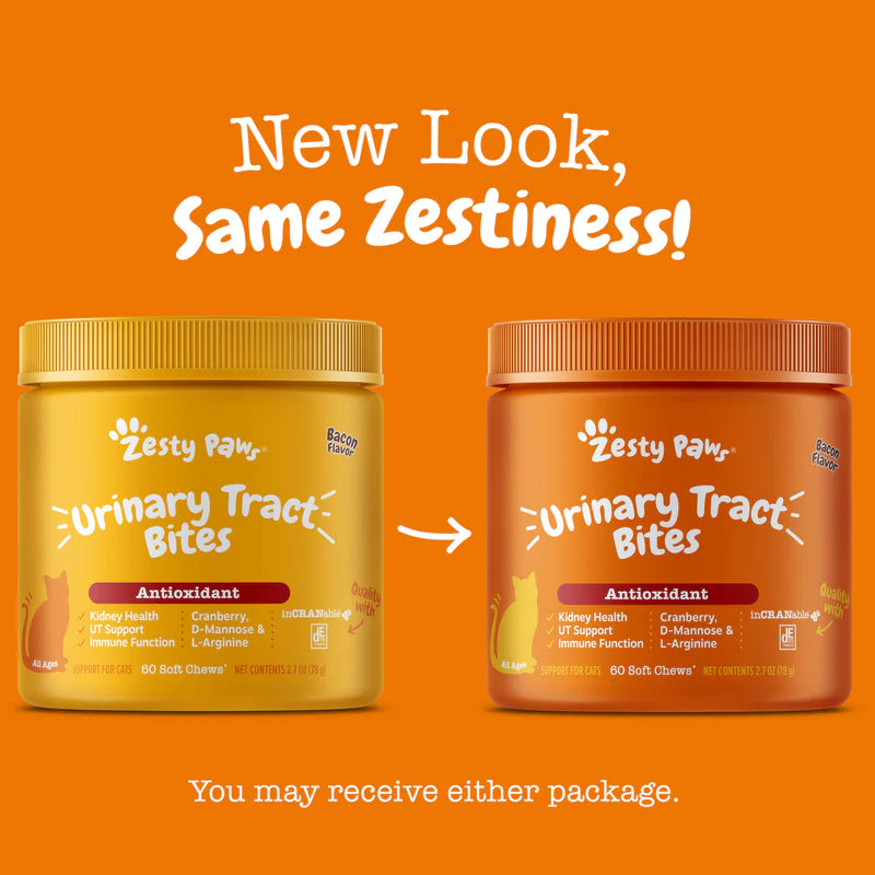 Urinary Tract Bites for Cats