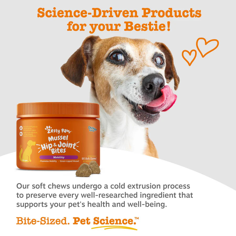 Mussel Hip & Joint Bites™ for Dogs