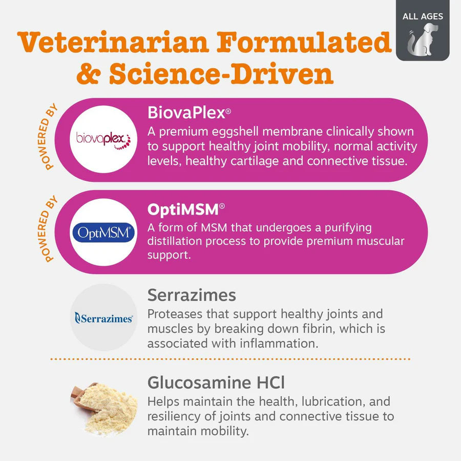 Vet Strength Hip & Joint Bites for Dogs