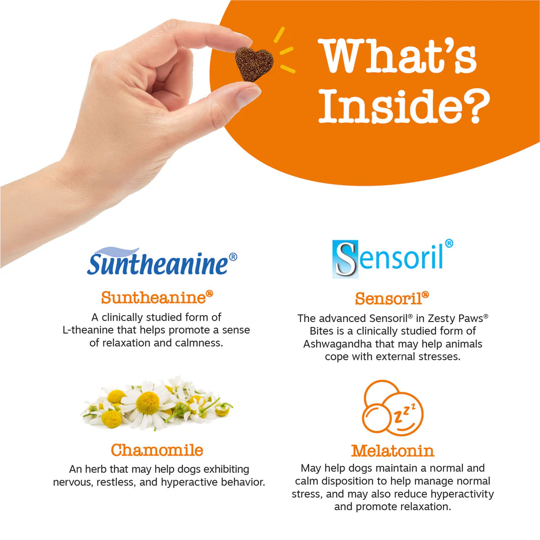 Advanced Calming Bites™ for Dogs